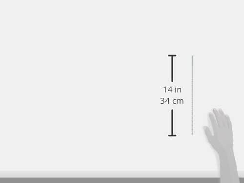 imageBOSCH BM2008 14X13 Cbd Tip Masonry Bit